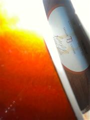 TAYLOR GUITARS T3B HD pickups 2012 rockabilly orange original hard case